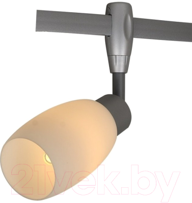 

Трековый светильник Arte Lamp, Rails Heads A3059PL-1SI