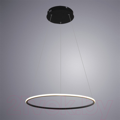 Потолочный светильник Arte Lamp Rapid A2500SP-1BK