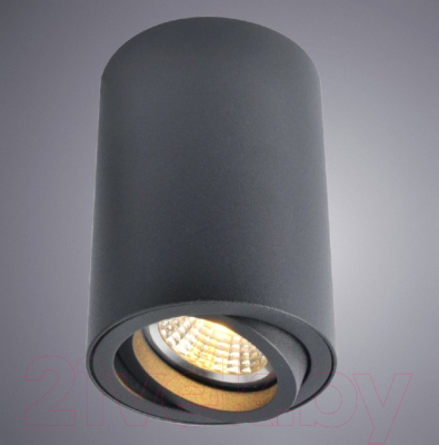 Точечный светильник Arte Lamp Sentry A1560PL-1BK