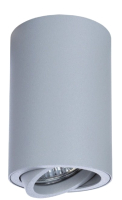 

Точечный светильник Arte Lamp, Sentry A1560PL-1GY