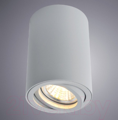 Точечный светильник Arte Lamp Sentry A1560PL-1GY