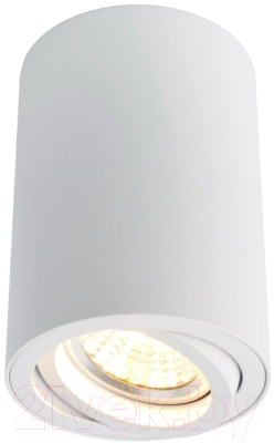 Точечный светильник Arte Lamp Sentry A1560PL-1WH