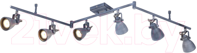 

Спот Arte Lamp, Gotto A9189PL-6GY