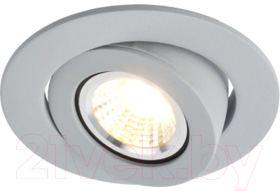 Точечный светильник Arte Lamp Accento A4009PL-1GY