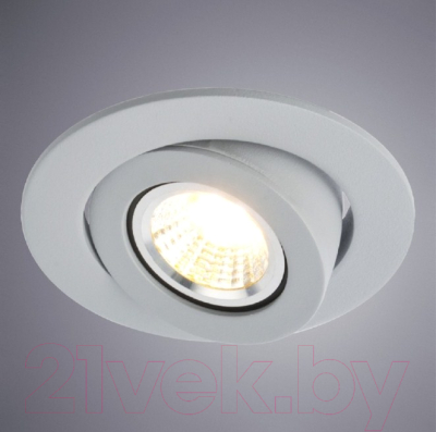 Точечный светильник Arte Lamp Accento A4009PL-1GY