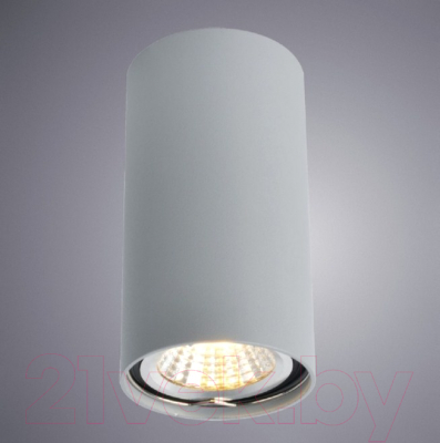 Точечный светильник Arte Lamp Unix A1516PL-1GY