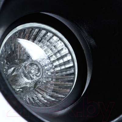Точечный светильник Arte Lamp Taurus A6663PL-1BK