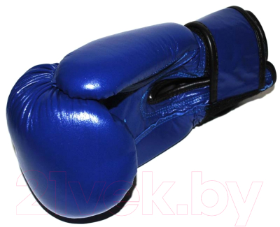 Боксерские перчатки ZEZ Sport 10-OZ-NK