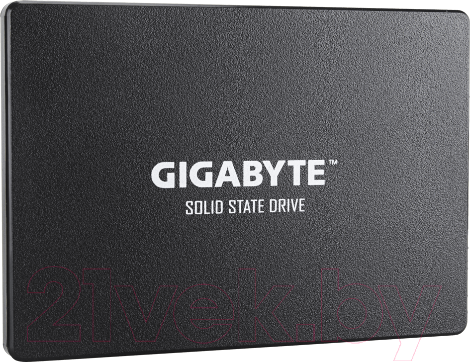 SSD диск Gigabyte 256GB (GP-GSTFS31256GTND)