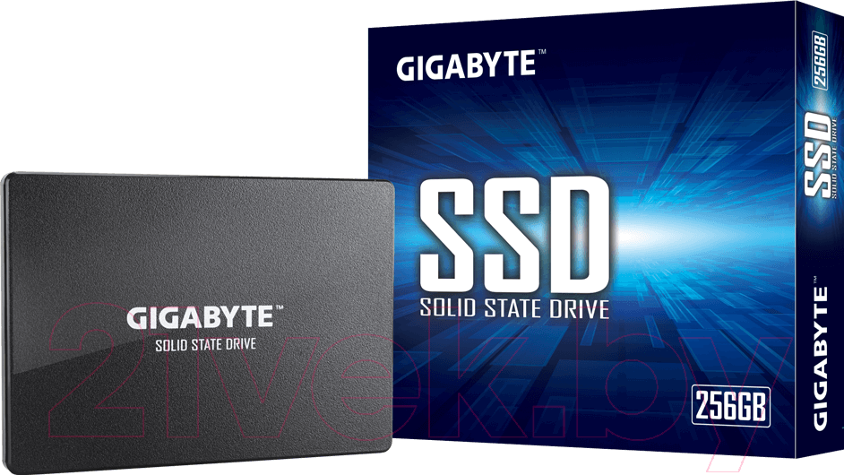 SSD диск Gigabyte 256GB (GP-GSTFS31256GTND)