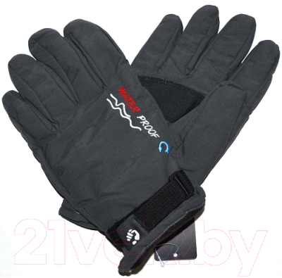 Перчатки лыжные No Brand G29 (черный)
