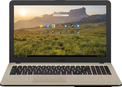 Ноутбук Asus VivoBook X540MA-GQ064