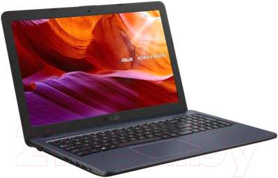 Ноутбук Asus VivoBook X543UB-DM1275