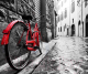 Фотообои листовые Citydecor Красный велосипед (300x254) - 