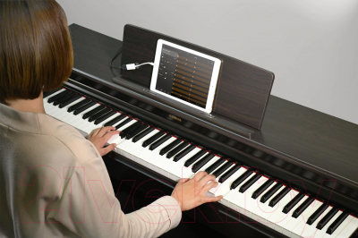 Цифровое фортепиано Yamaha YDP-164B / NYDP164B
