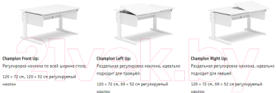 Парта Moll Champion Classic Left Up