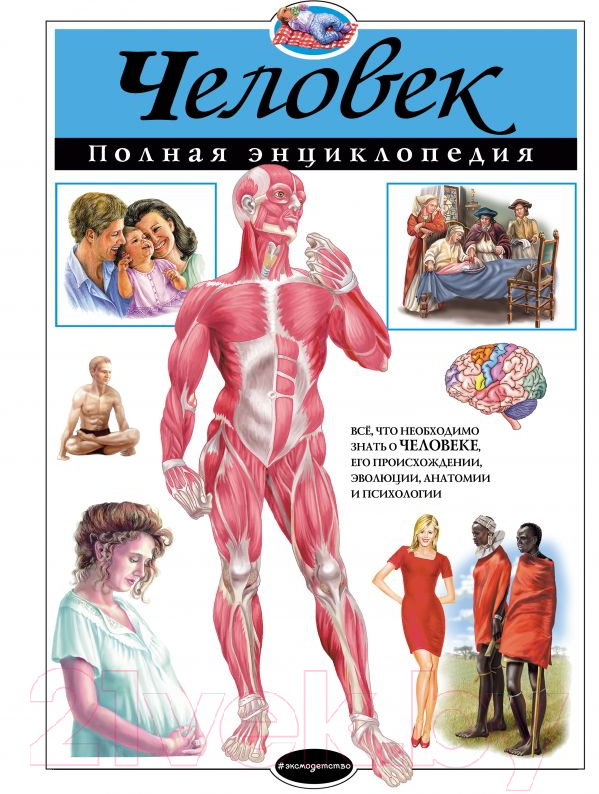 Энциклопедия Эксмо Человек. Полная энциклопедия (Школьник Ю.)
