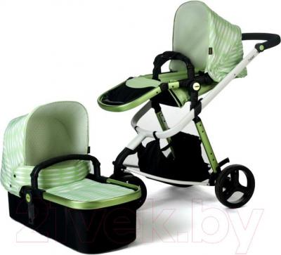 Детская универсальная коляска Anex Tempo 2 в 1 (зеленый) - модули