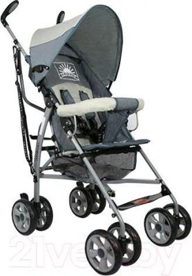 Детская прогулочная коляска INFINITY Echo (серый) - общий вид