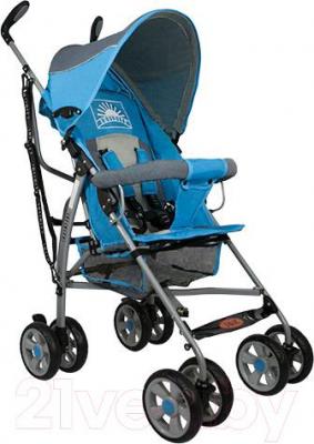 Детская прогулочная коляска INFINITY Echo (голубой) - общий вид