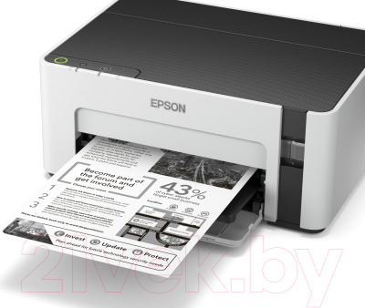 Принтер Epson M1100 (C11CG95405)