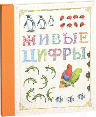 

Развивающая книга Росмэн, Живые цифры