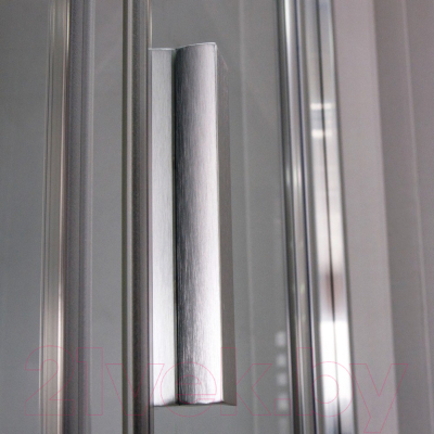 Душевая дверь Roltechnik Tower Line TCN1/100 (матовое серебро/печатный узор)