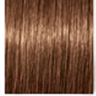 Крем-краска для волос Schwarzkopf Professional Igora Royal Absolutes 6-60 (60мл)