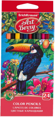 Набор цветных карандашей Erich Krause ArtBerry / 32480 (24шт)
