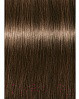 Крем-краска для волос Schwarzkopf Professional Igora Royal Absolutes 7-40 (60мл)
