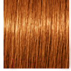 Крем-краска для волос Schwarzkopf Professional Igora Royal Absolutes 7-70 (60мл)