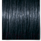 Крем-краска для волос Schwarzkopf Professional Igora Royal Permanent Color Creme 1-1 (60мл)