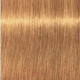 Миниатюра изображения товара Крем-краска для волос Schwarzkopf Professional Igora Royal Absolutes 9-60 (60мл)