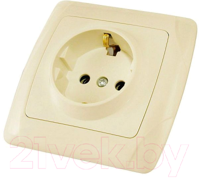 

Розетка TDM, Онега SQ1805-0045