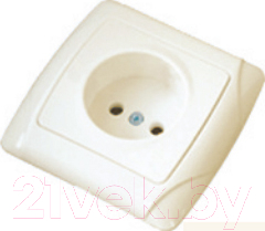 

Розетка TDM, Онега SQ1805-0039