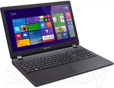 Ноутбук Packard Bell TG71BM-C6K8 (NX.C3UEU.011) - вполоборота