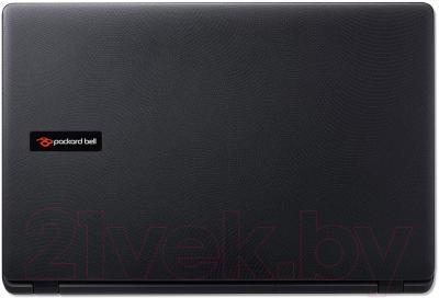 Ноутбук Packard Bell TG71BM-C38X (NX.C3UEU.001) - вид сзади