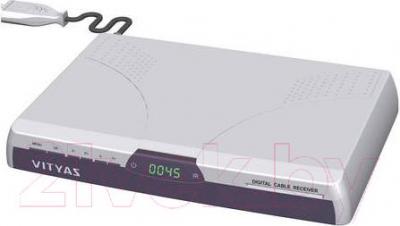Тюнер цифрового телевидения Витязь DСR-805М - общий вид