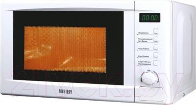 Микроволновая печь Mystery MMW-2028 - общий вид