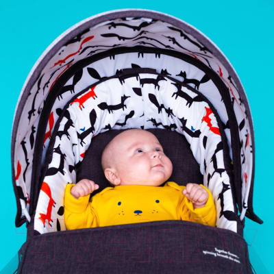 Изображение товара Детская прогулочная коляска Cosatto Woosh XL / 4045 (Mister Fox)