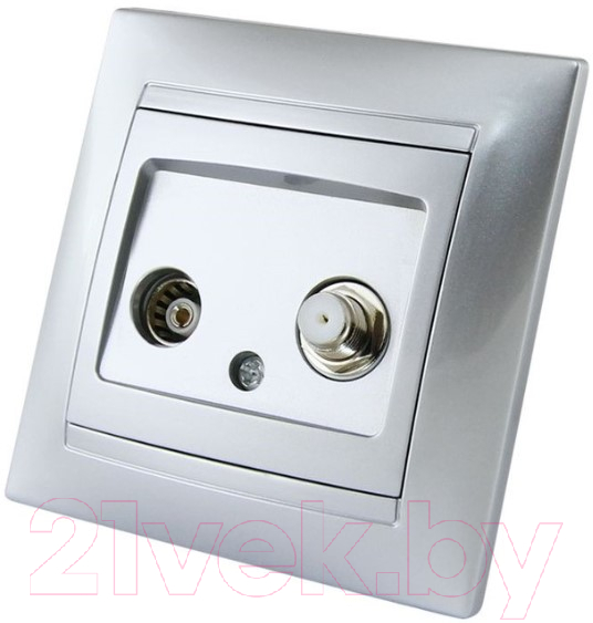 Розетка TDM Лама SQ1815-0220 (серебристый металлик)
