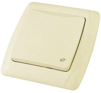 

Розетка TDM, Онега SQ1805-0048
