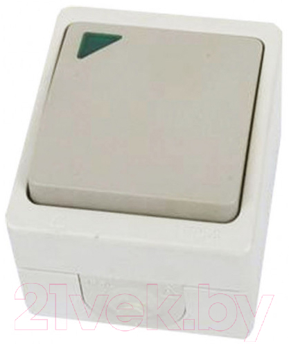 Выключатель TDM Вуокса SQ1803-0005
