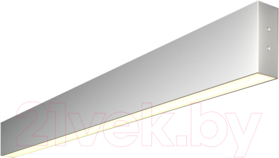Подсветка для картин и зеркал Elektrostandard 101-100-30-78 15W 3000K (матовое серебро)