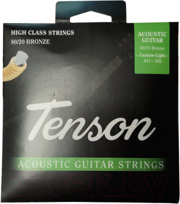 Струны для акустической гитары Gewa Tenson / F600.605