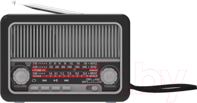 Радиоприемник Ritmix RPR-035 (серебристый)