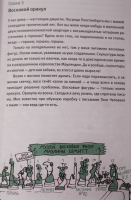 Книга Издательство Самокат Удивительные приключения Маулины Шмит (Хайнрих Ф.-О., Флигенрирг Р.)