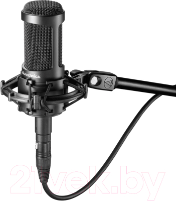 

Микрофон Audio-Technica, AT2050