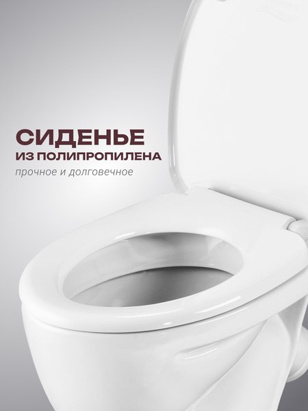 Купить Унитаз напольный Santeri Воротынский 1P4017S0000BF в Солигорске