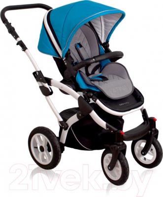 Детская универсальная коляска Coto baby Latina 2 в 1 (серый) - прогулочная